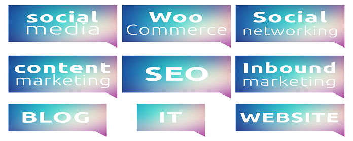 What should we see in SEO expert, before hiring?