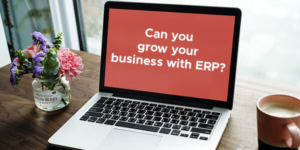 Can you grow your business with ERP?