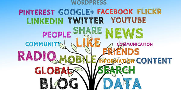 Reputation management of your website