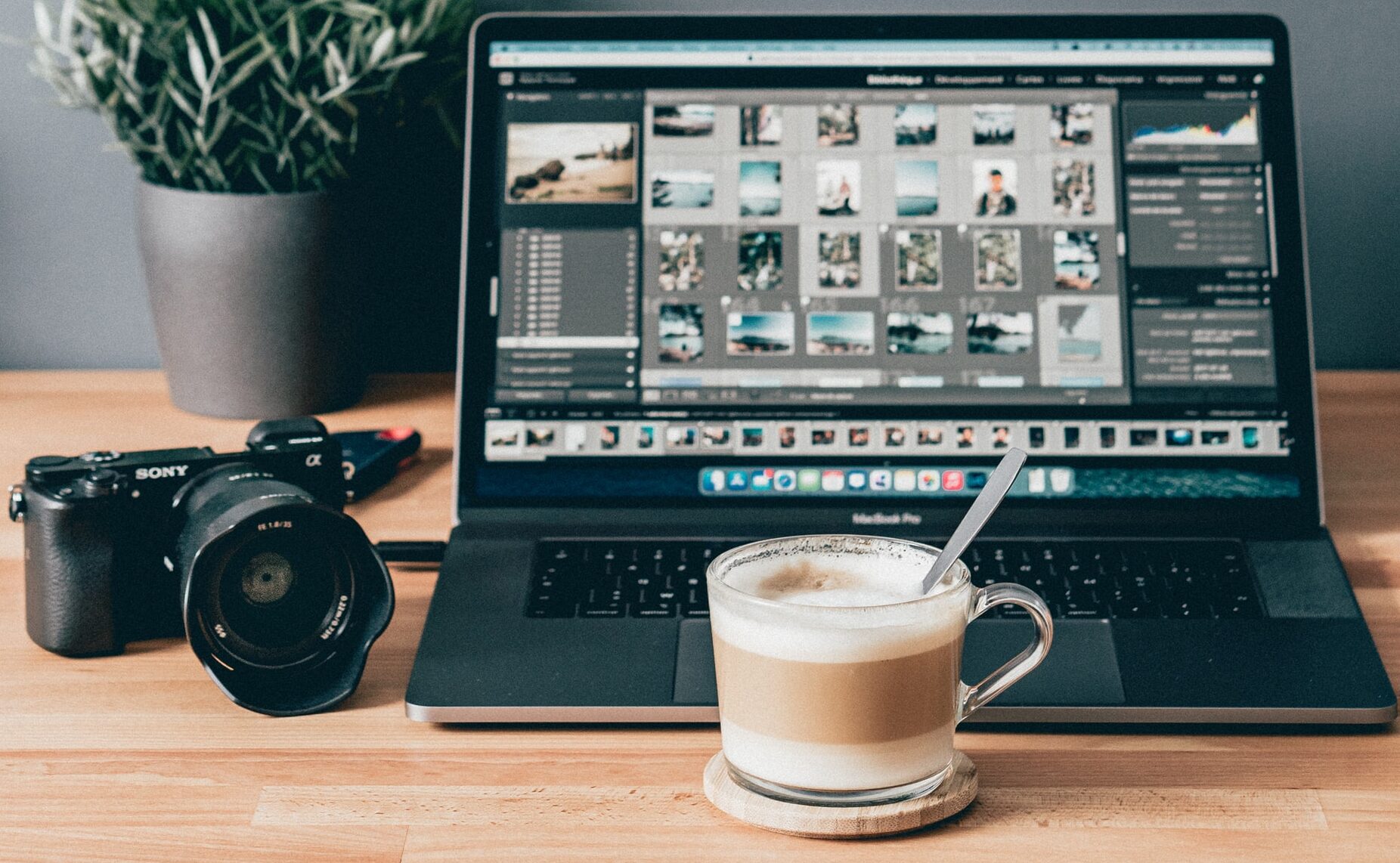 Here’s Why Website Photos are Important in Website Design